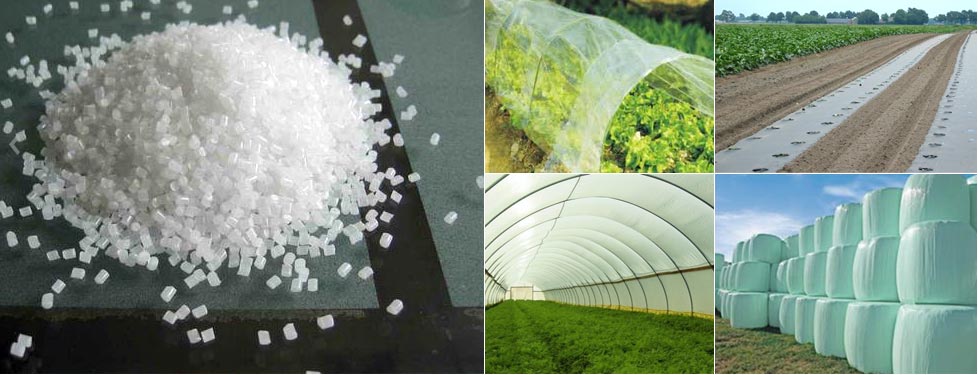 Additive Masterbatches Additive Masterbatches